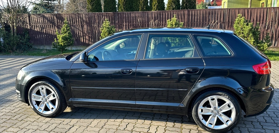 Audi A3 cena 23700 przebieg: 227814, rok produkcji 2009 z Błażowa małe 466